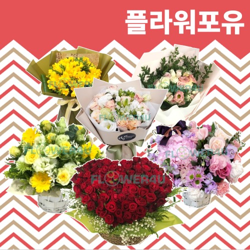 생화 꽃바구니 꽃다발 생일 출산 기념일 축하 전국 배달서비스 당일배송